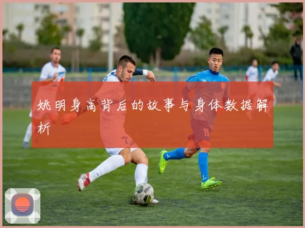 姚明身高背后的故事与身体数据解析