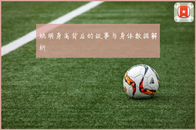 姚明身高背后的故事与身体数据解析